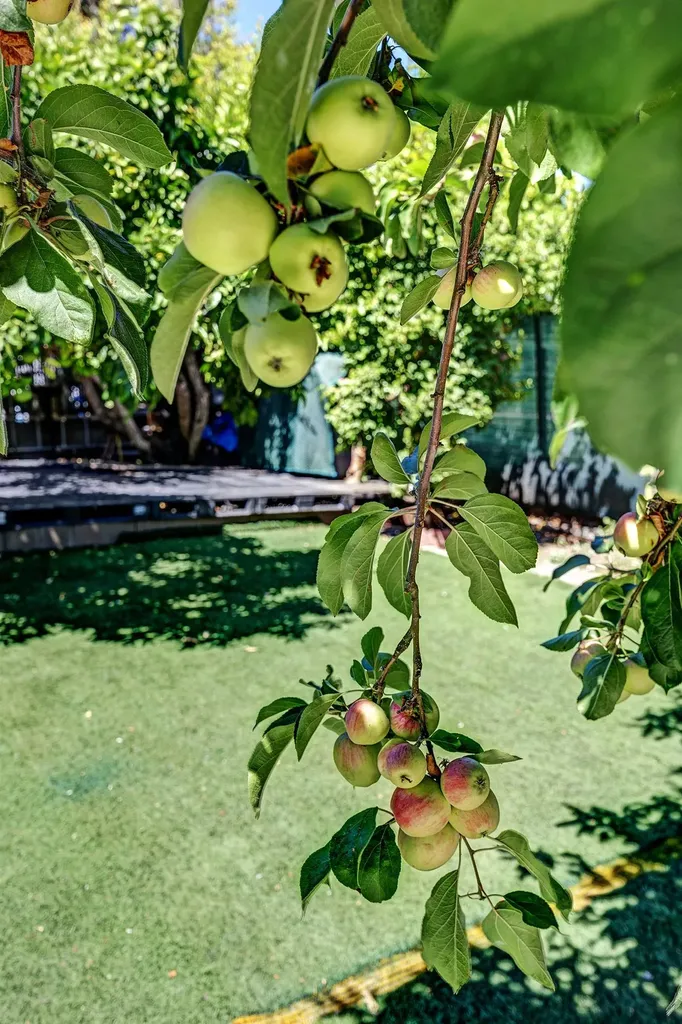 2309 High Street Oakland CA 94601