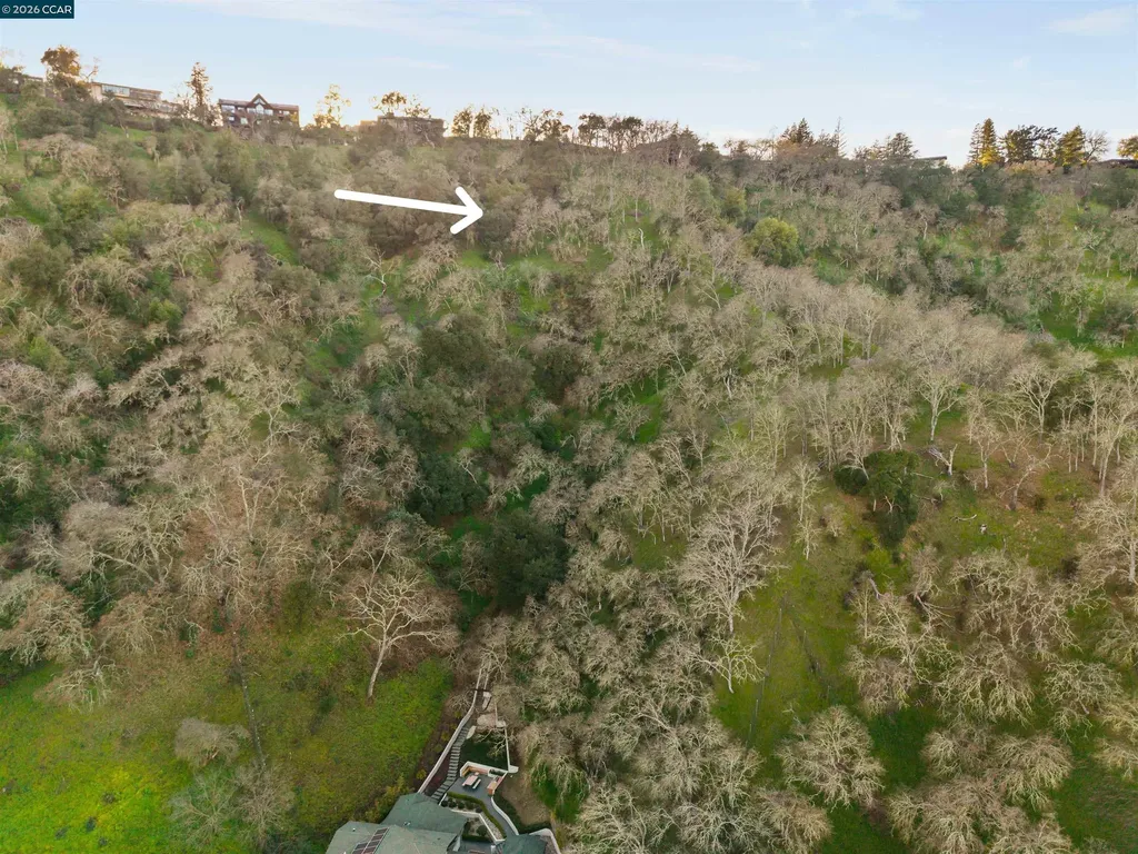 0 Castle Crest Road Alamo CA 94507
