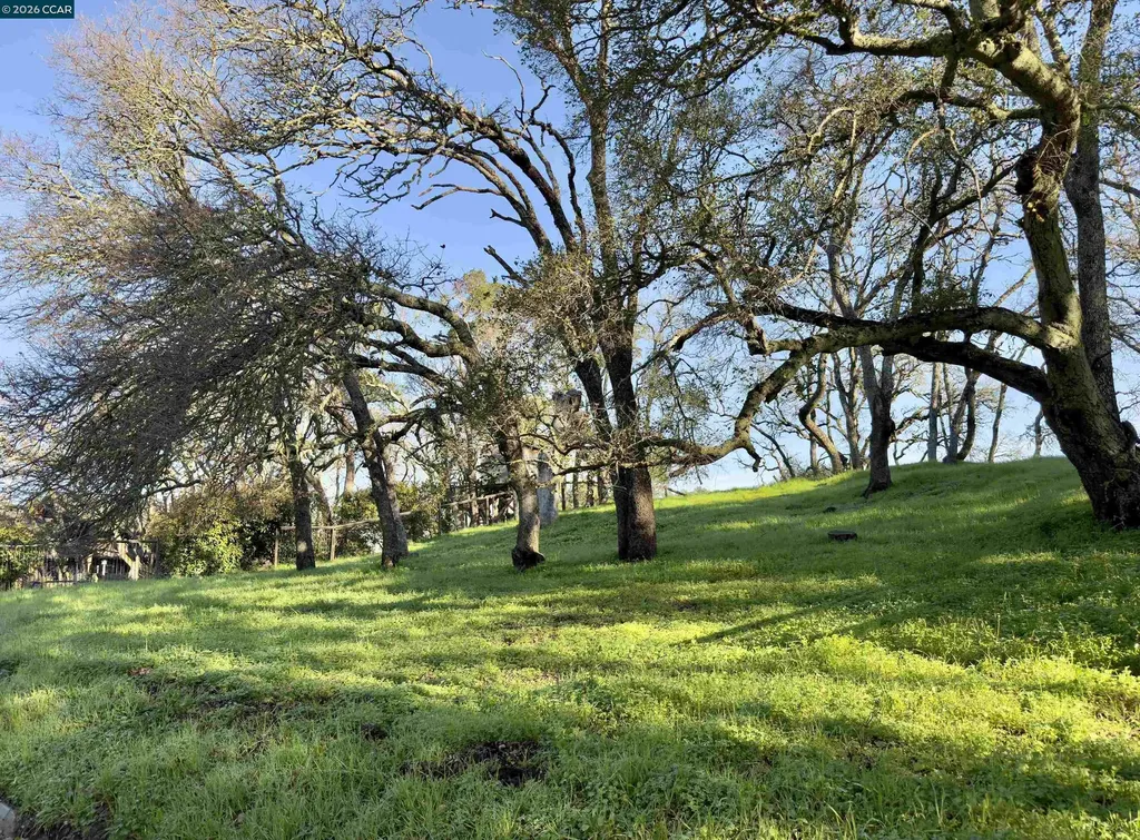0 Castle Crest Road Alamo CA 94507