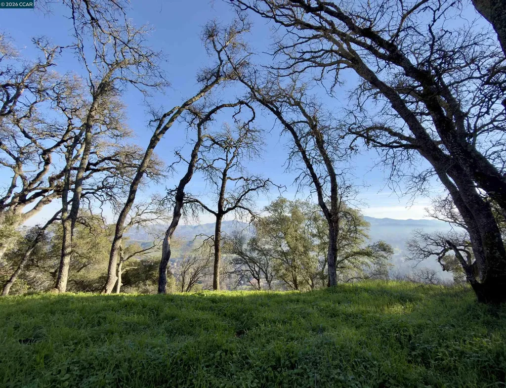 0 Castle Crest Road Alamo CA 94507