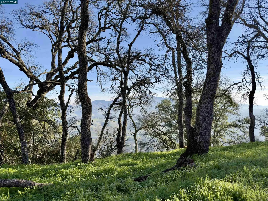 0 Castle Crest Road Alamo CA 94507