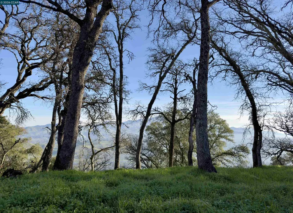 0 Castle Crest Road Alamo CA 94507