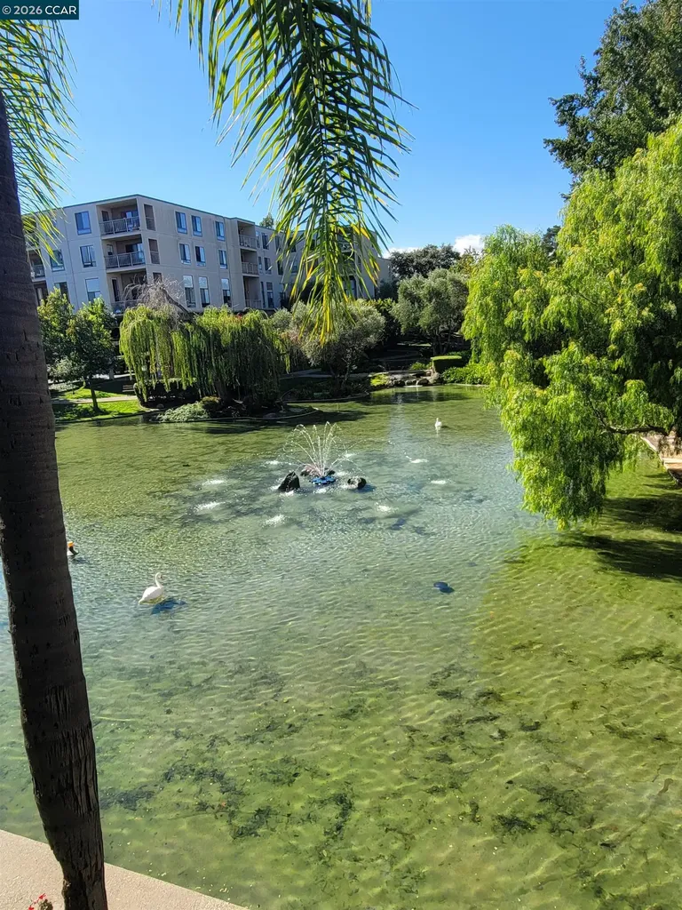 310 Civic Drive Walnut Creek CA 94597