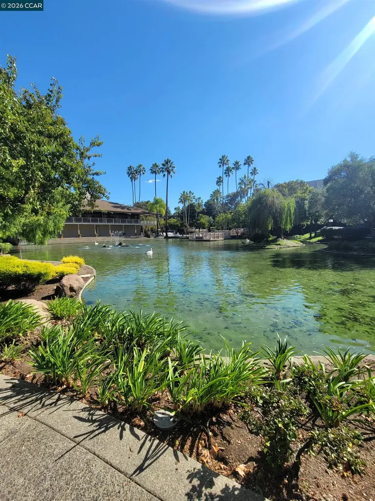 310 Civic Drive Walnut Creek CA 94597