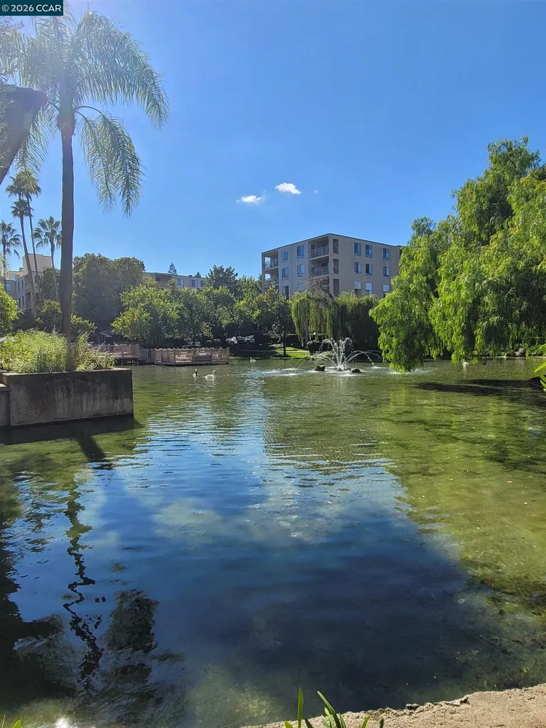 310 Civic Drive Walnut Creek CA 94597