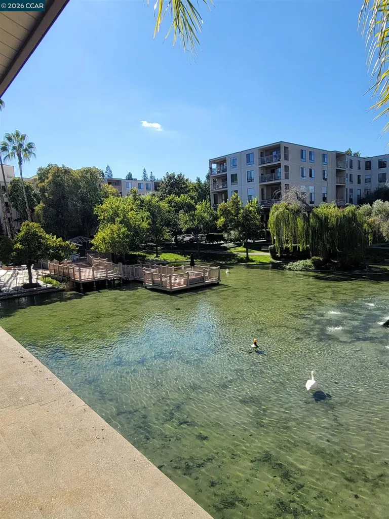 310 Civic Drive Walnut Creek CA 94597
