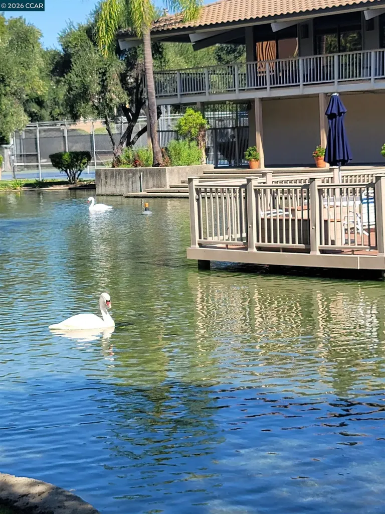 310 Civic Drive Walnut Creek CA 94597