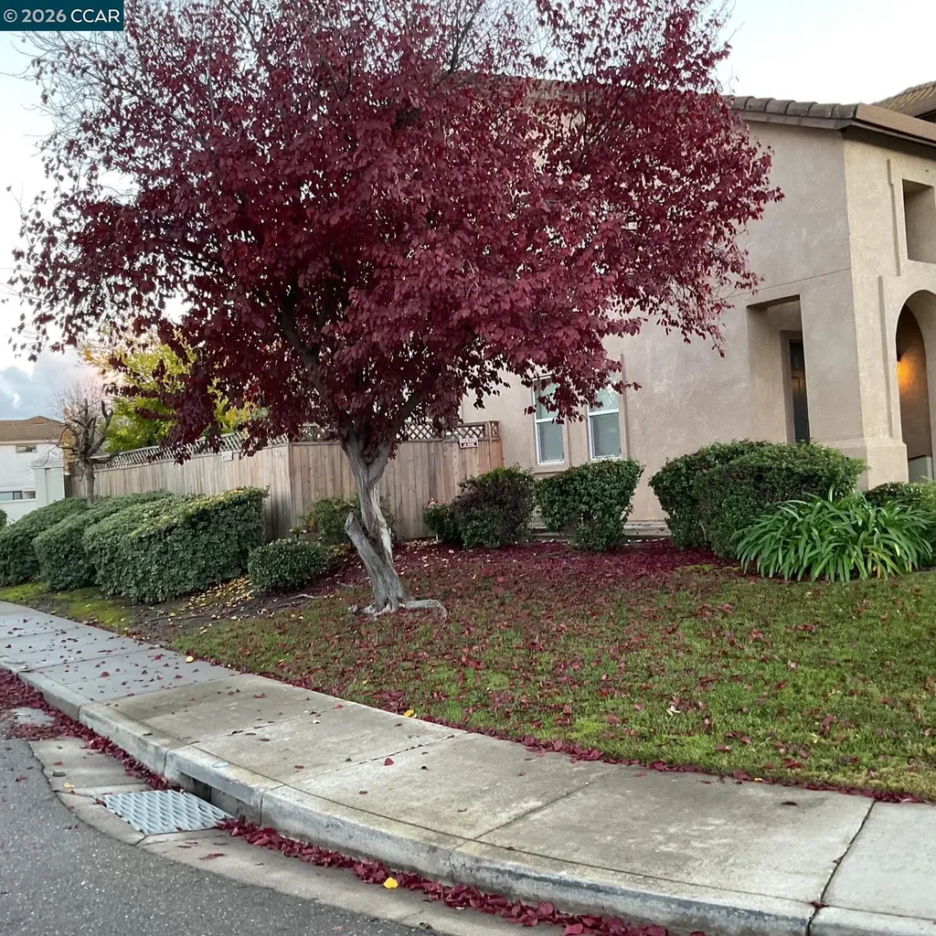 2096 Goldpine Way Antioch CA 94509