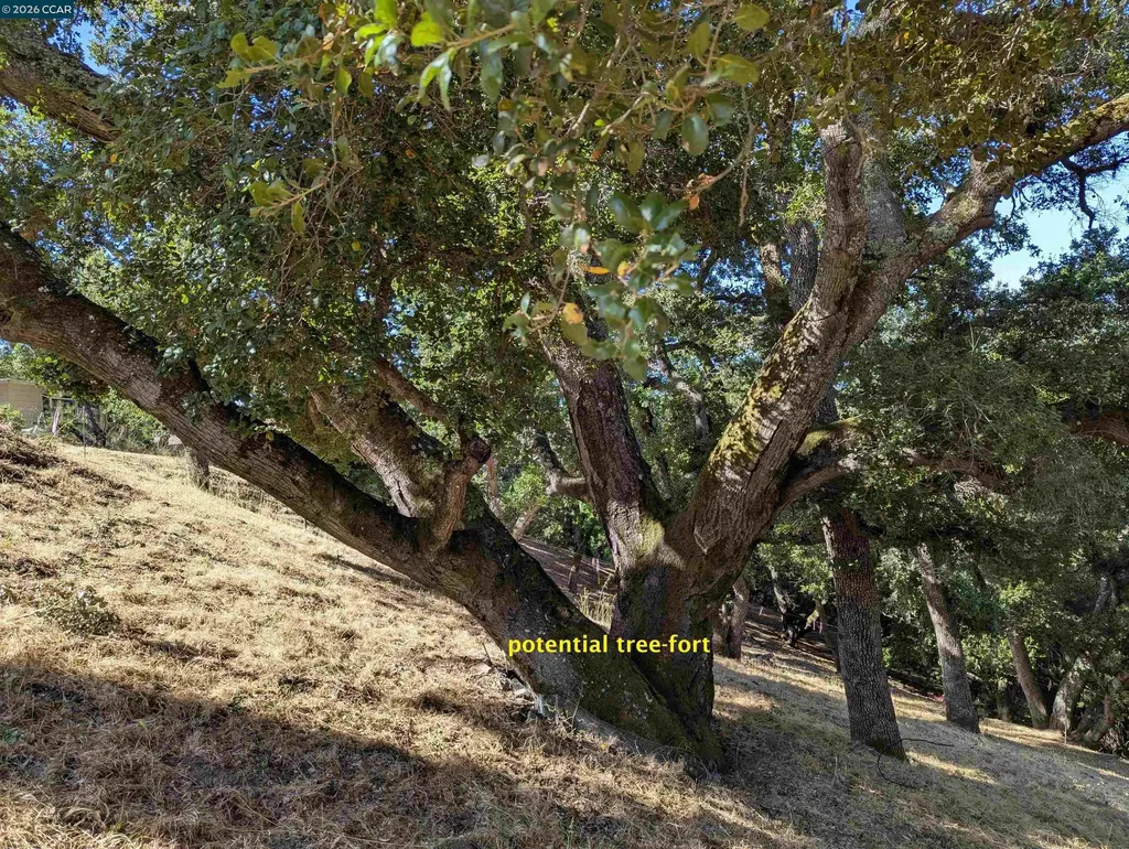 13 St. James Court Orinda CA 94563