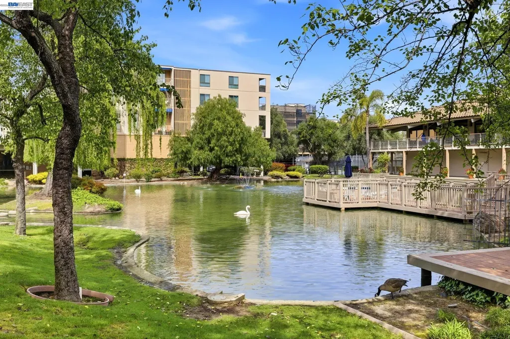 300 Civic Drive Walnut Creek CA 94596