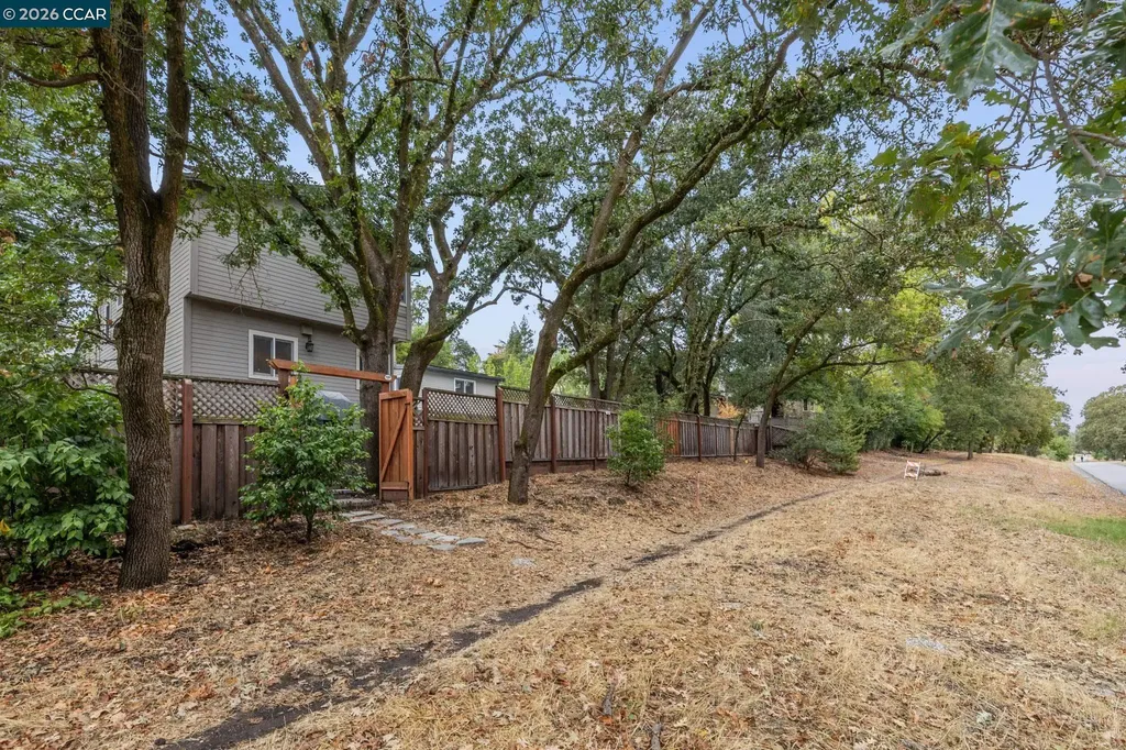 50 Vista Lane Alamo CA 94507