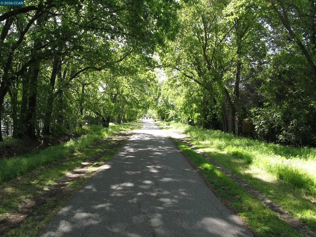 50 Vista Lane Alamo CA 94507