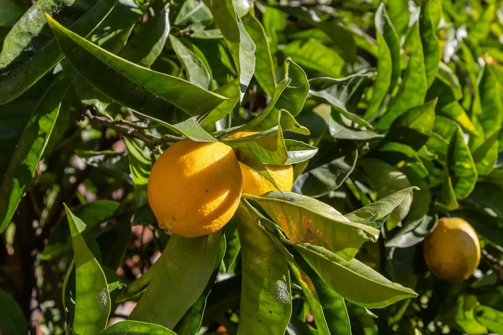 3340 Harrison Street Oakland CA 94611