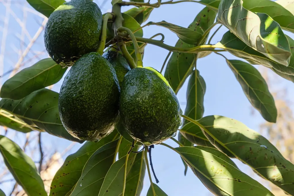 3340 Harrison Street Oakland CA 94611