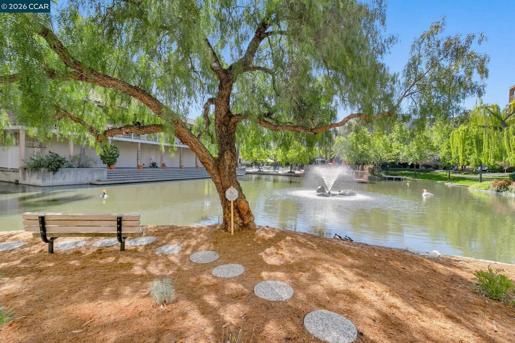 340 Civic Drive Walnut Creek CA 94596