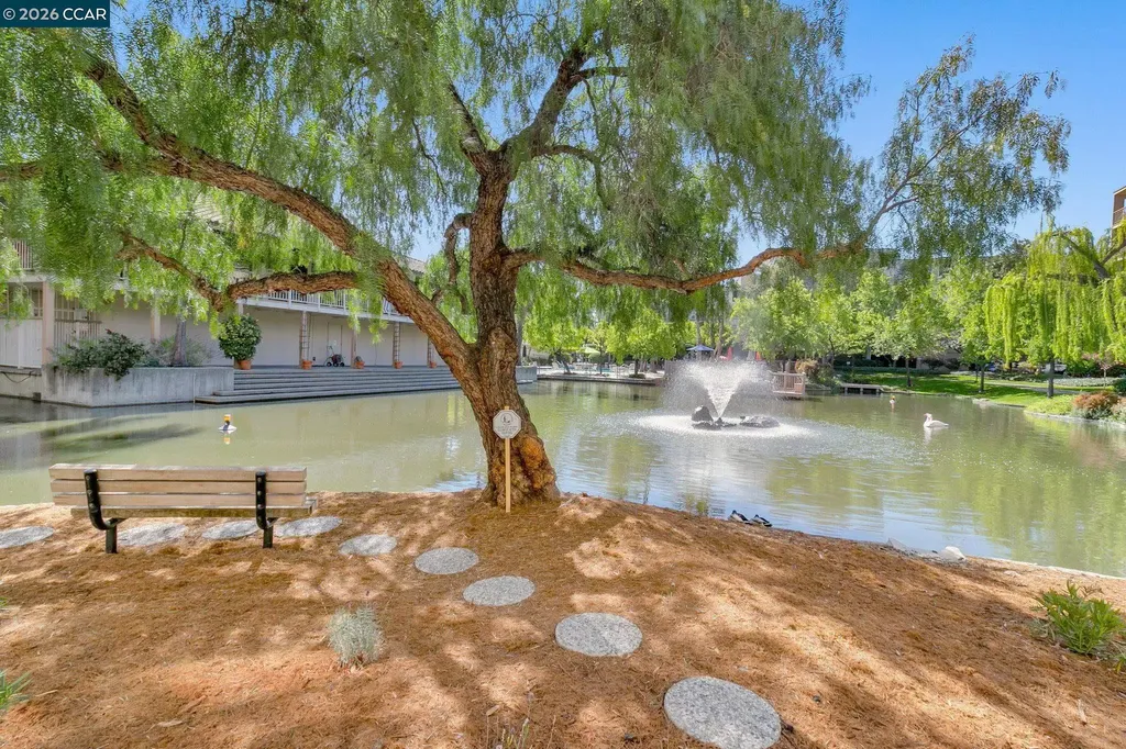 340 Civic Drive Walnut Creek CA 94596