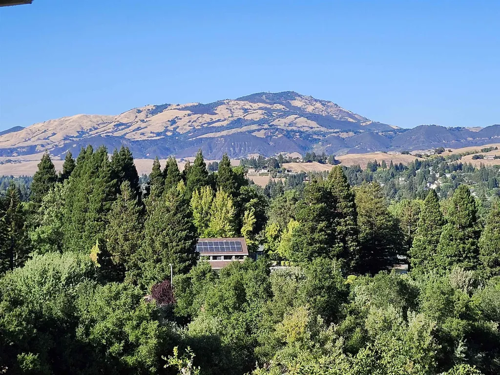 1823 Mockingbird Place Danville CA 94526
