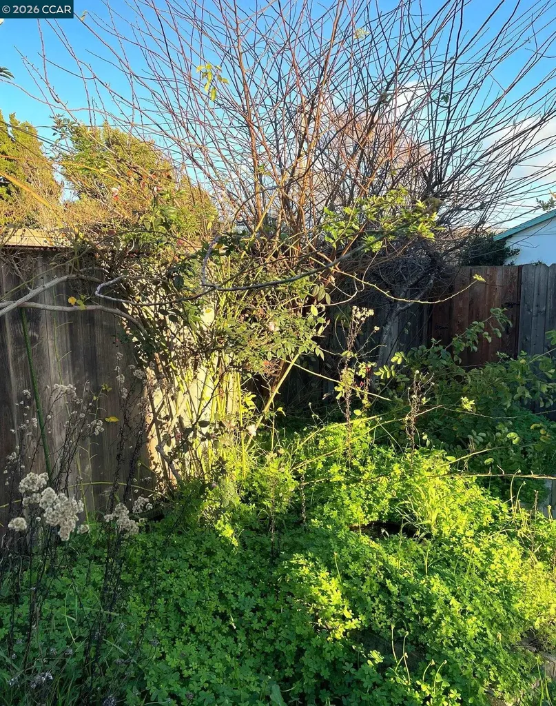 363 Bissell Avenue Richmond CA 94801