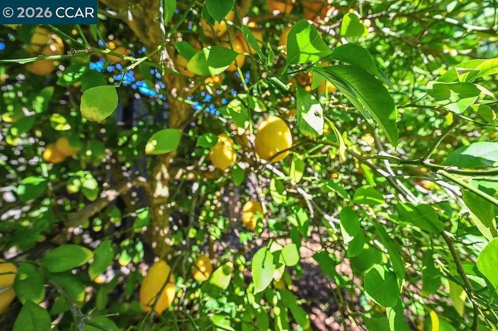 916 Calle Verde Martinez CA 94553