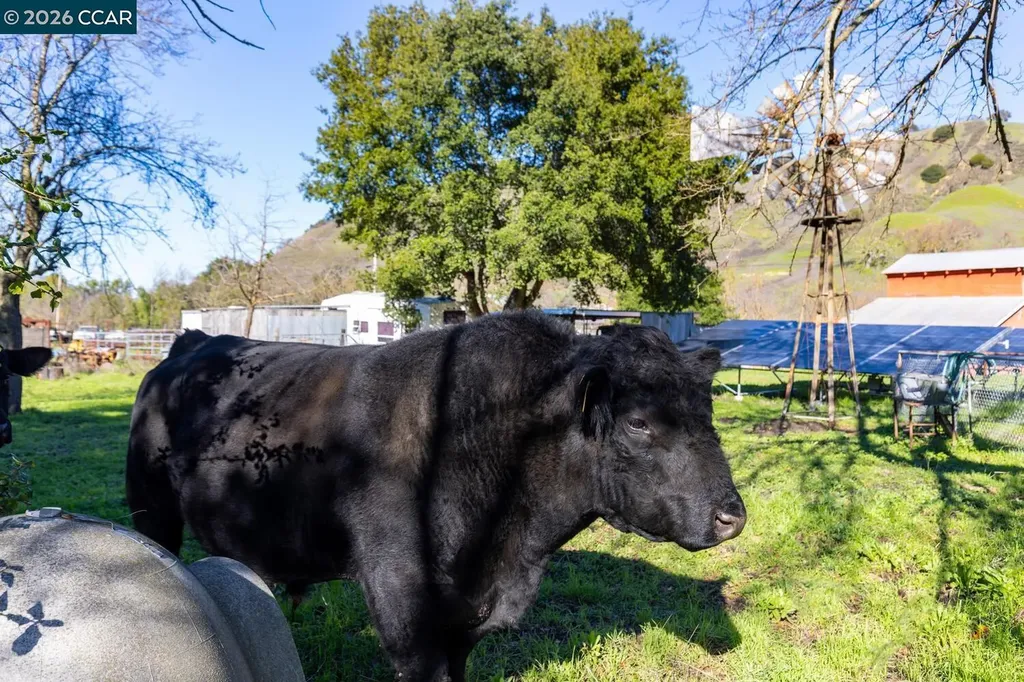 1015 Garcia Ranch Road Martinez CA 94553