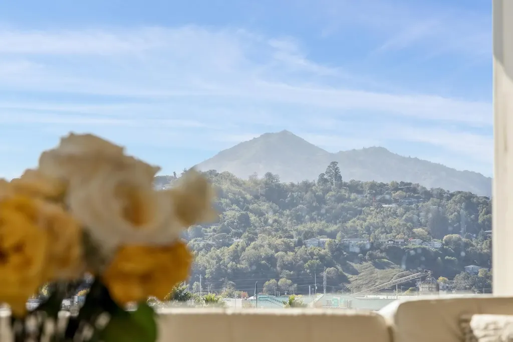 28 Marina Court Drive San Rafael CA 94901