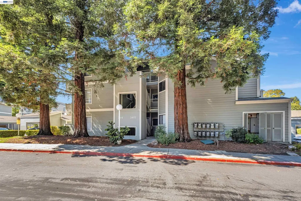 3402 Pinewood Terrace Fremont CA 94536
