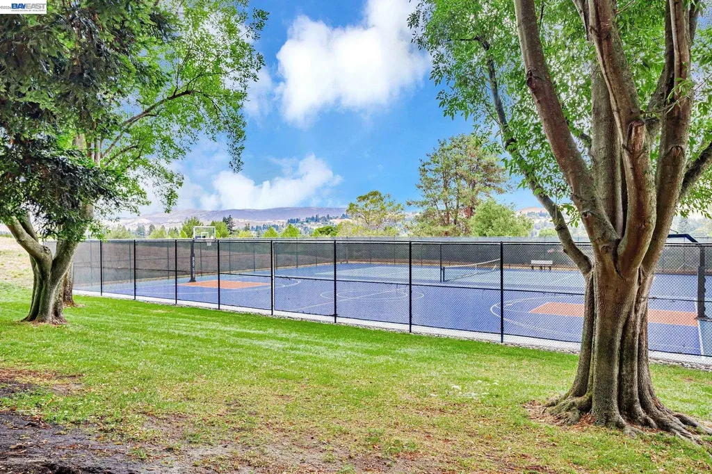 47 Summer Hill Court Danville CA 94526