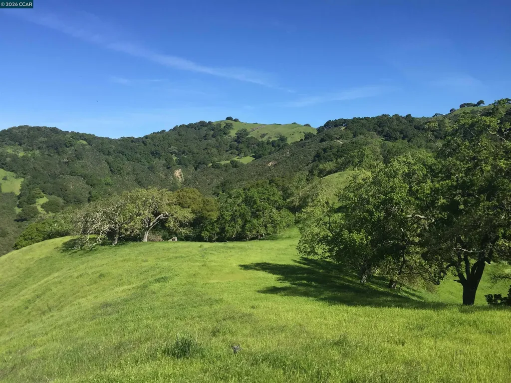 1240 Monticello Road Lafayette CA 94549