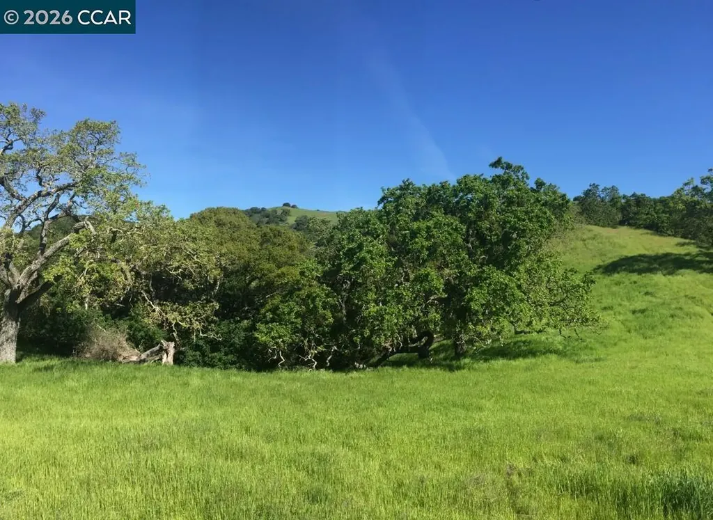 1240 Monticello Road Lafayette CA 94549
