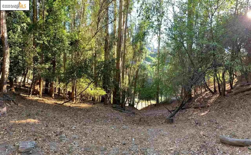 6696 Moore Drive Oakland CA 94611