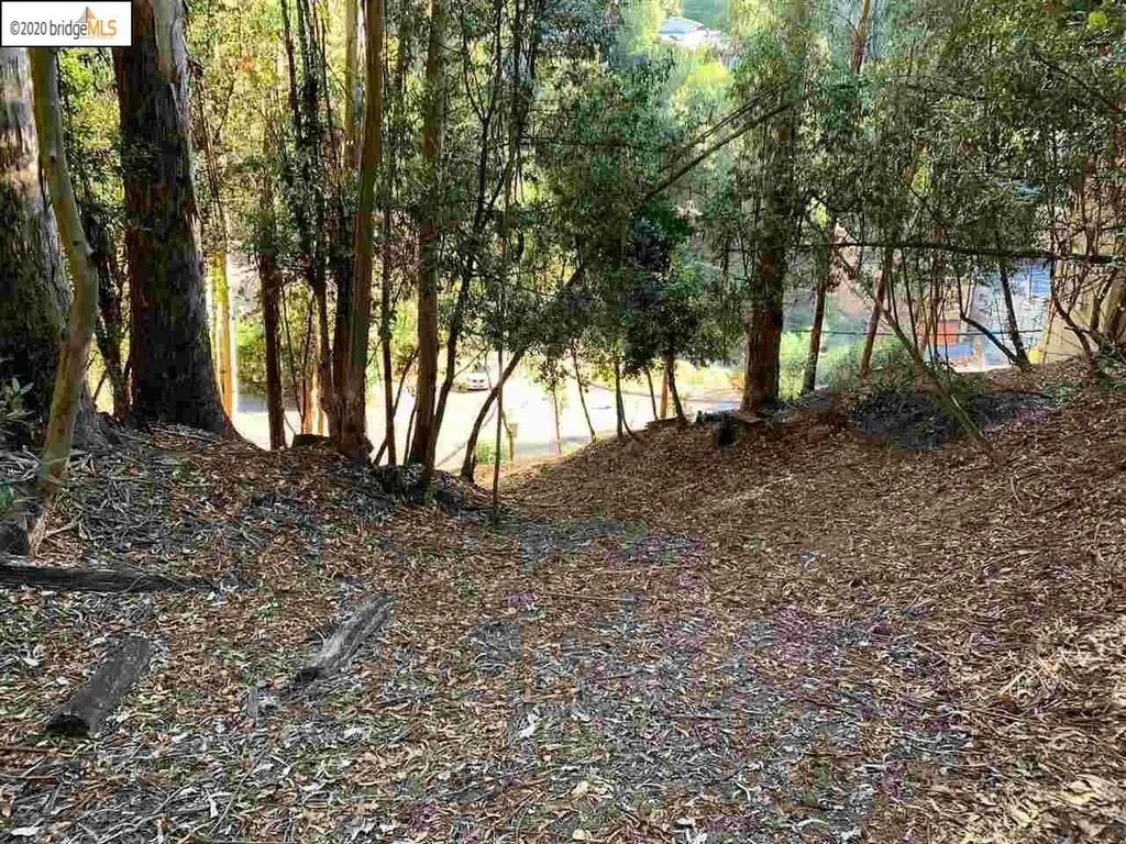 6696 Moore Drive Oakland CA 94611