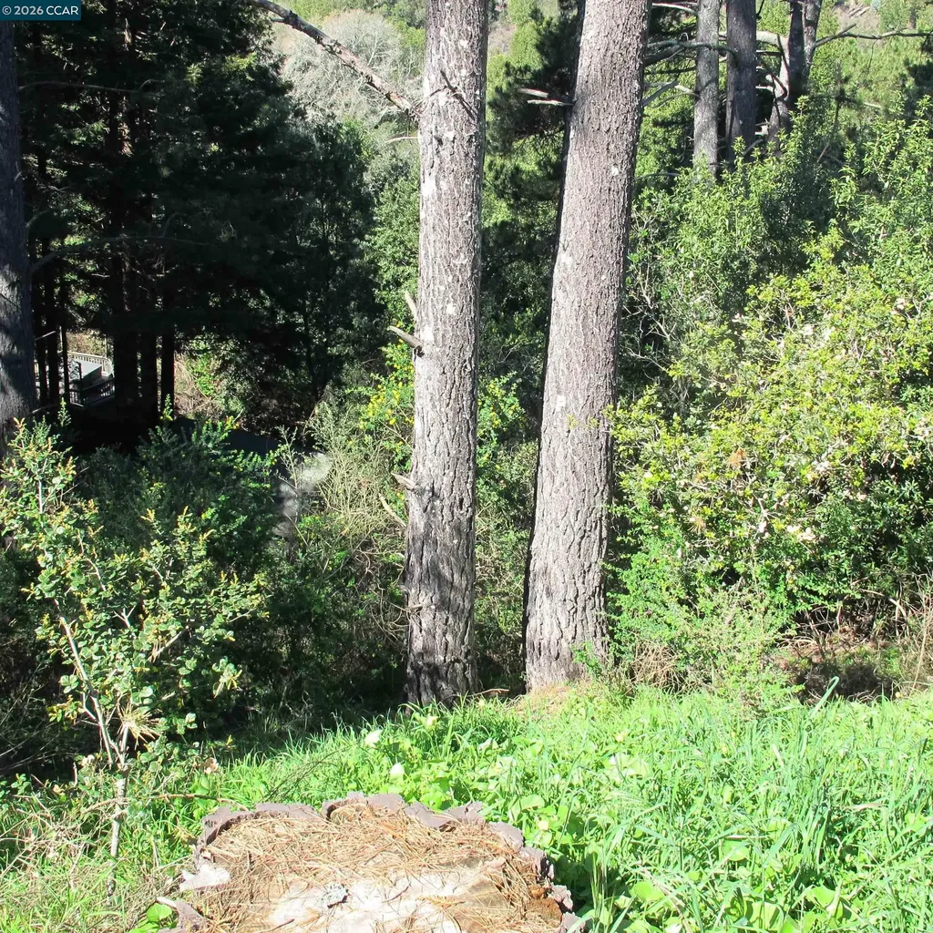 0 Skyline Boulevard Oakland CA 94619