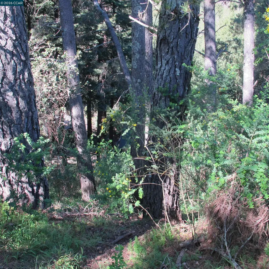 0 Skyline Boulevard Oakland CA 94619