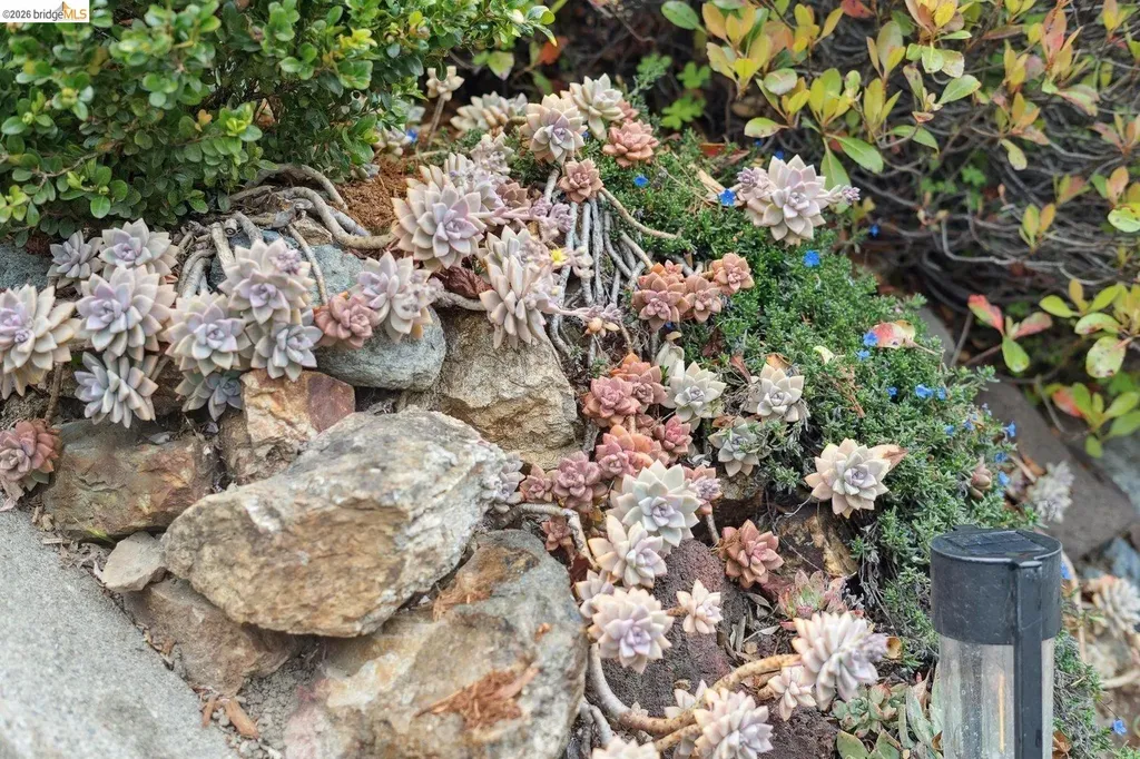 4107 Lyman Road Oakland CA 94602