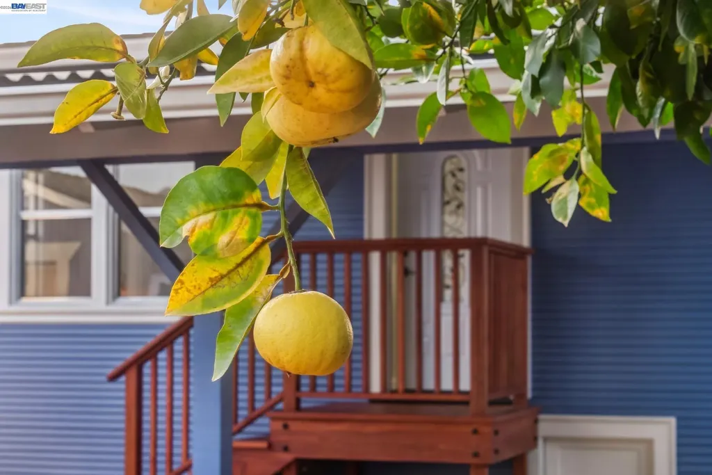 330 Melven Court San Leandro CA 94577