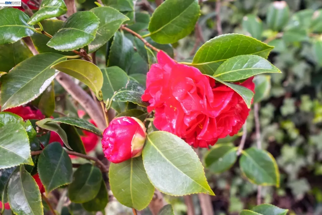 330 Melven Court San Leandro CA 94577