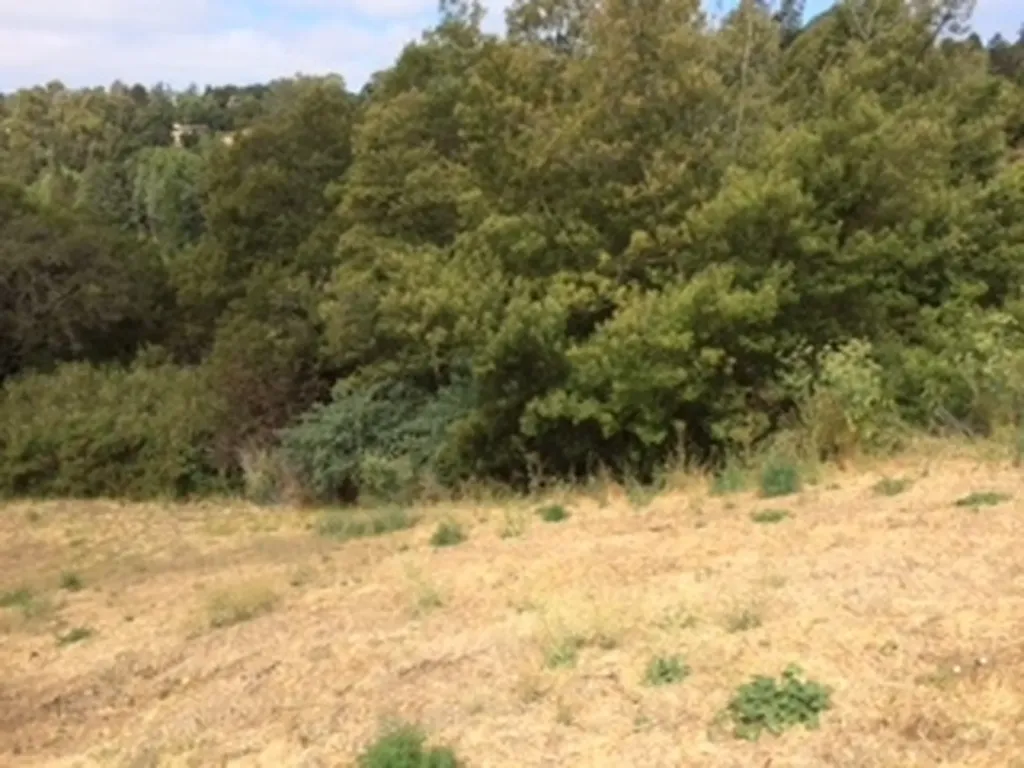 3257 Monterey Boulevard Oakland CA 94602