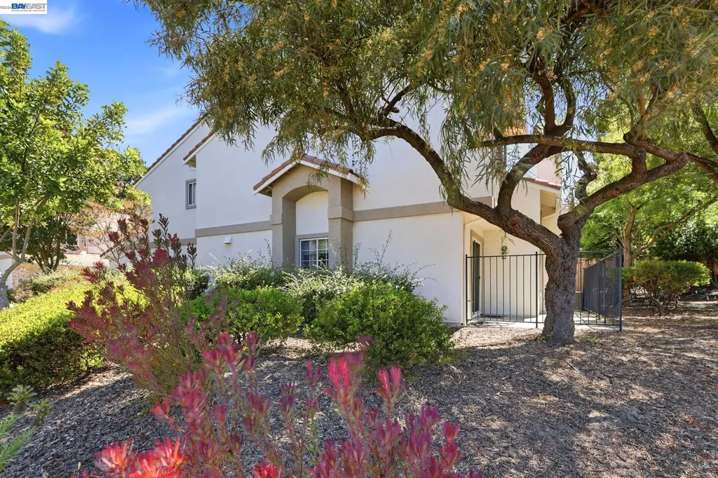 60 Joya Lane Danville CA 94506