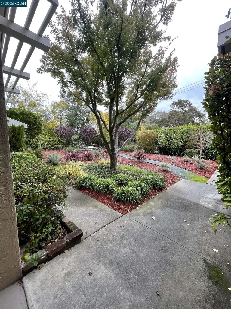 145 Sierra Drive Walnut Creek CA 94596