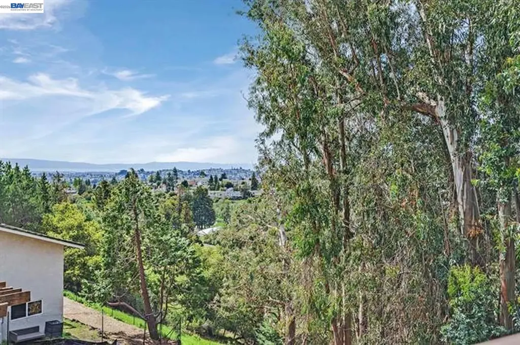 18019 Center Street Castro Valley CA 94546