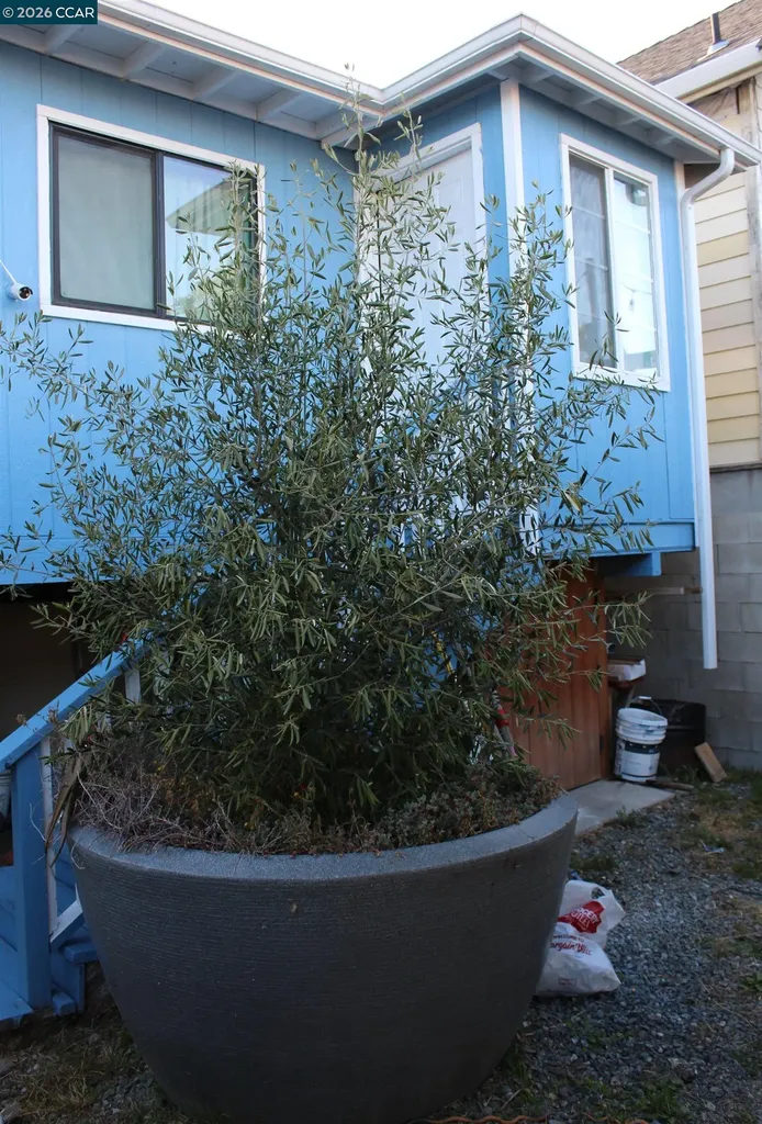 540 3rd Street Richmond CA 94801