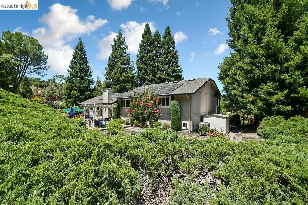2090 Pebble Drive Alamo CA 94507