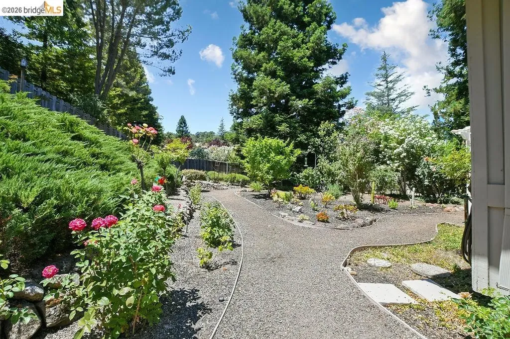 2090 Pebble Drive Alamo CA 94507