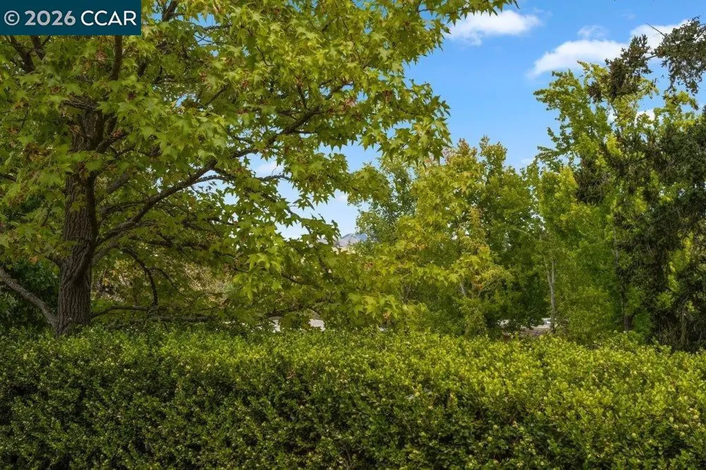 2889 Ptarmigan Drive Walnut Creek CA 94595