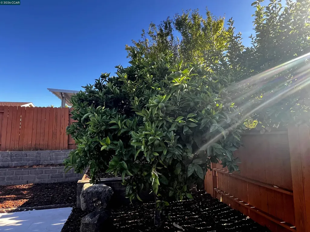 1116 Langlie Way Rodeo CA 94572