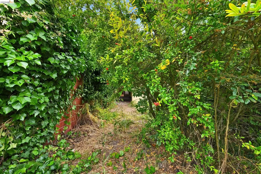 2219 Derby Street Berkeley CA 94705