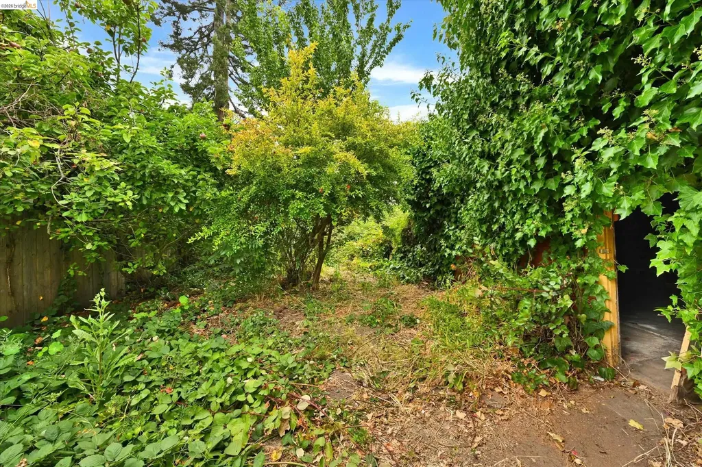 2219 Derby Street Berkeley CA 94705