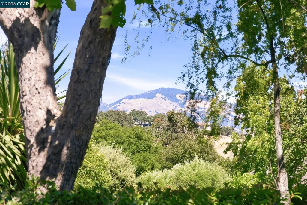 1979 Charmstone Court Walnut Creek CA 94595