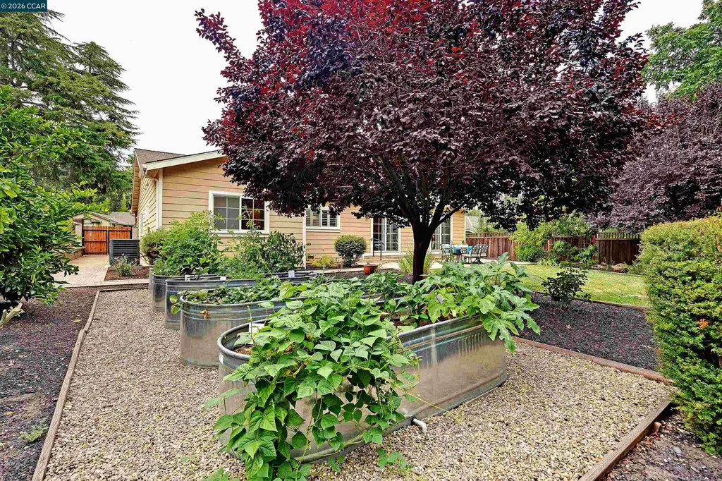 161 Valle Vista Drive Danville CA 94526