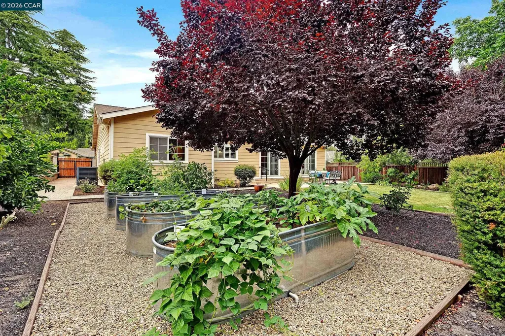 161 Valle Vista Drive Danville CA 94526